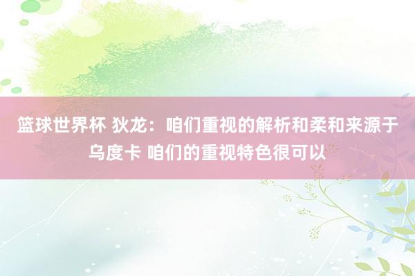 篮球世界杯 狄龙：咱们重视的解析和柔和来源于乌度卡 咱们的重视特色很可以